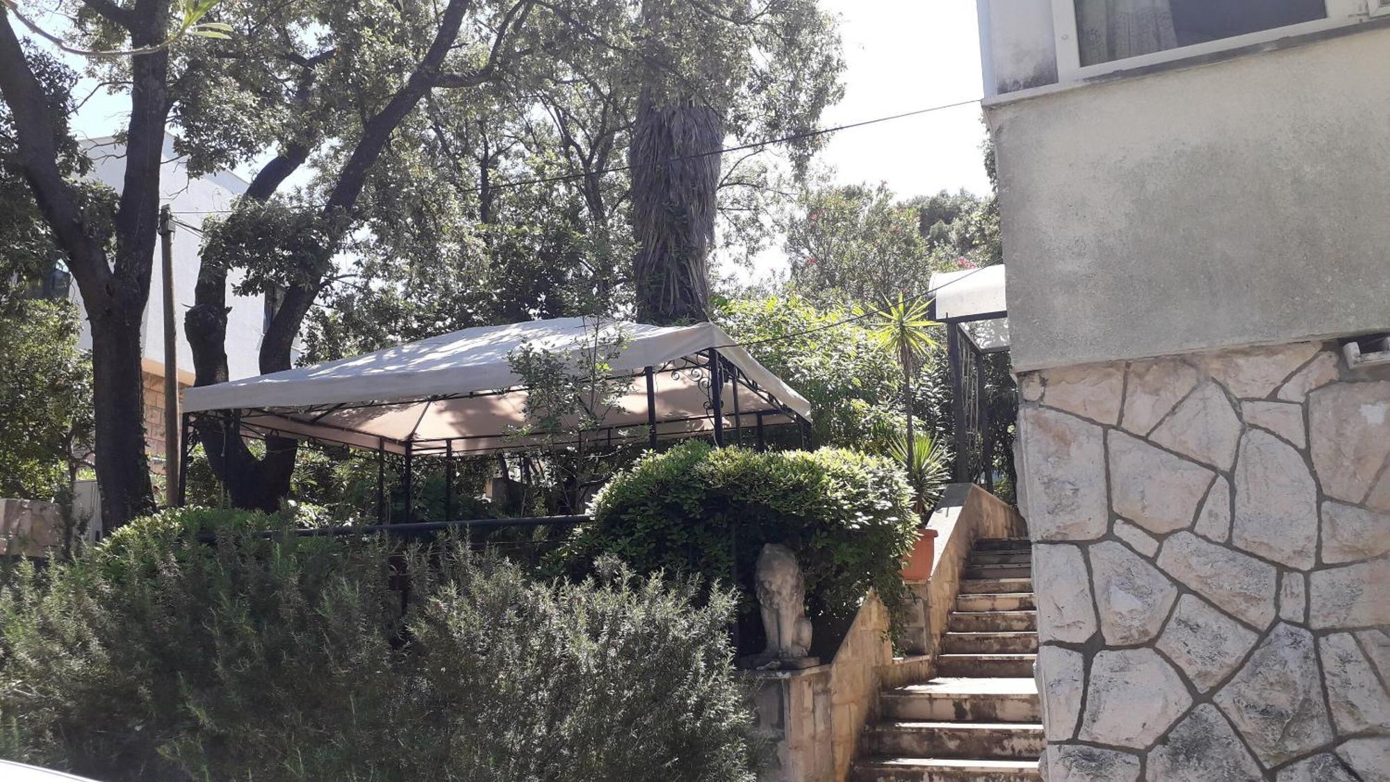 Apartments Marija - 50M From Beach 扎通 外观 照片